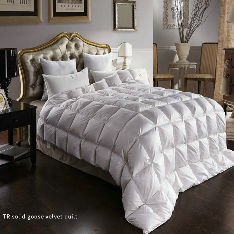 TR solid goose velvet quilt